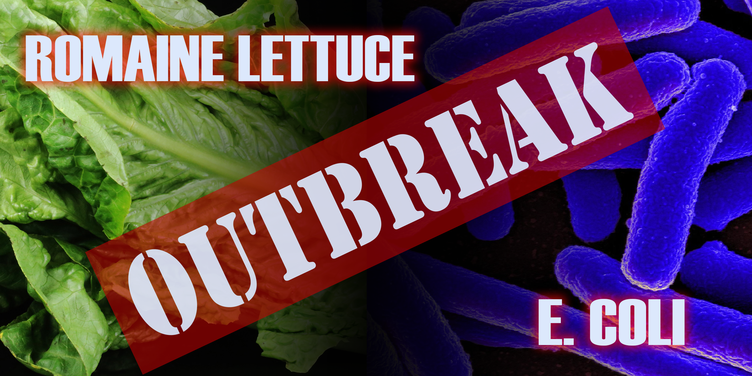 Maryland Department of Health Allegany Temp Romaine E Coli